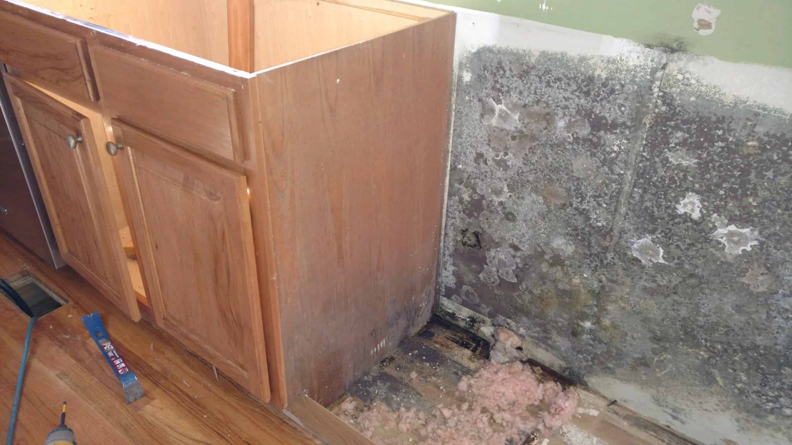 How to Repair Kitchen Cabinets with Water Damage? [Steps Explained]
