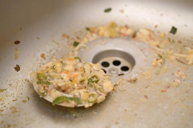 food debris in sink hole