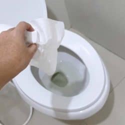 Does Toilet Paper Dissolve in Septic Tank? [An In-Depth Analysis]