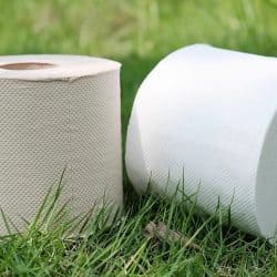 Is Bamboo Toilet Paper Septic Safe? Things You Should Know